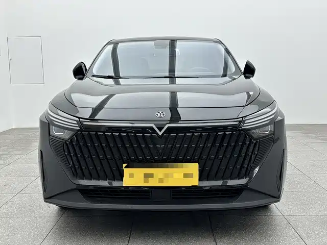 Venucia DaV DD-i 2024 2023 110km iE Edition