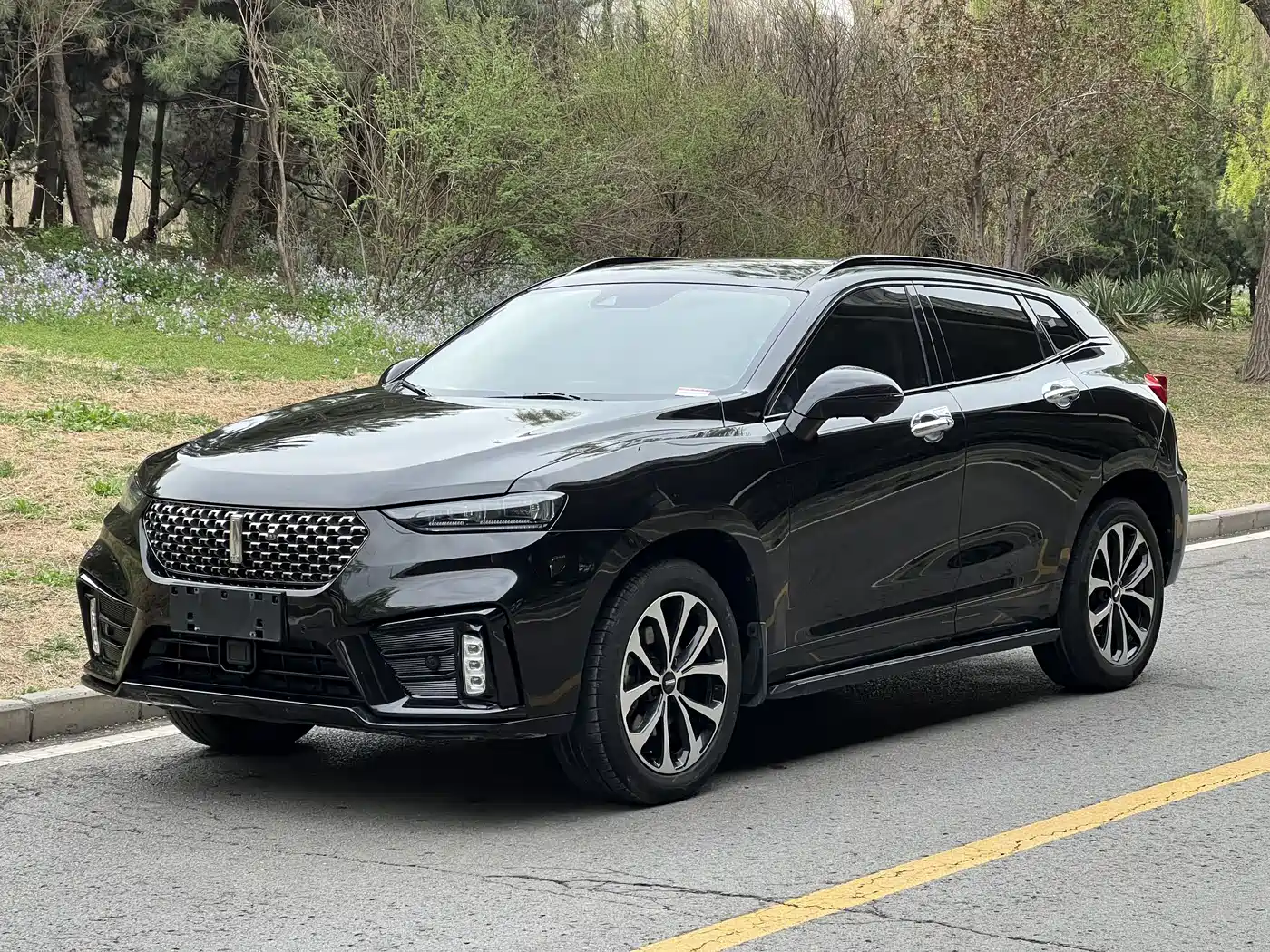 WEI PAI WEI BRAND VV7