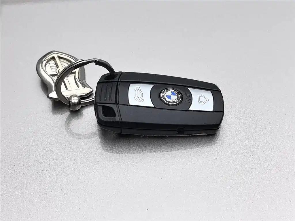 BMW X1 2015 Model sDrive18i Leading Advanced Edition фото 19