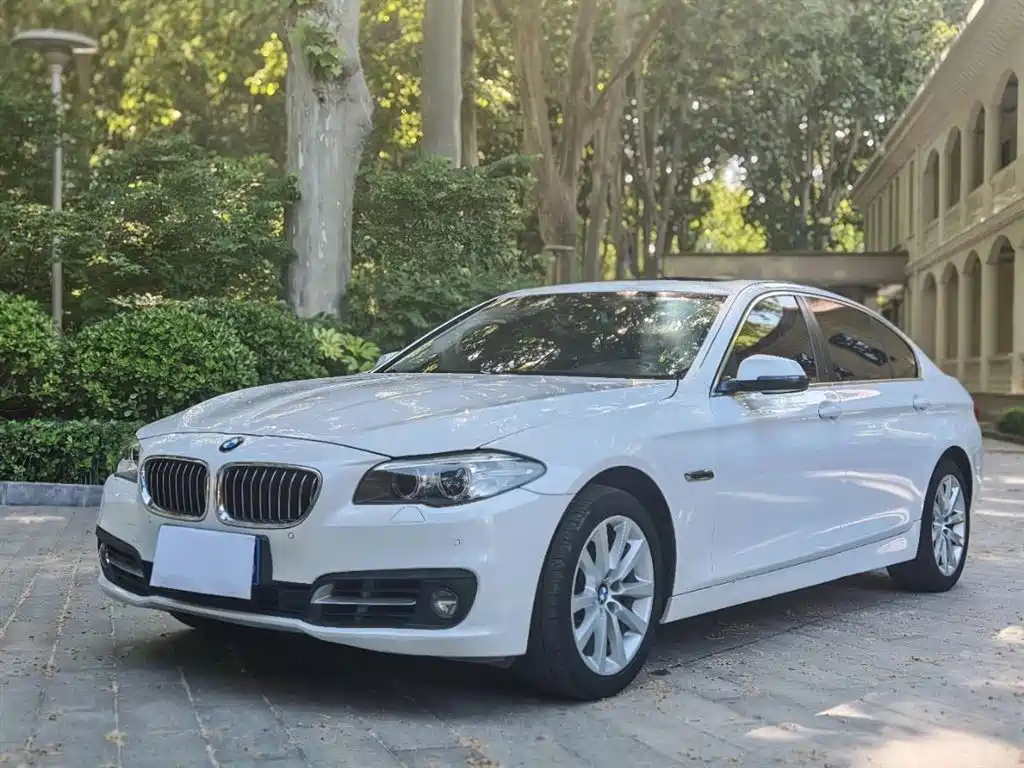 BMW 5 Series 2014 530Li Leading