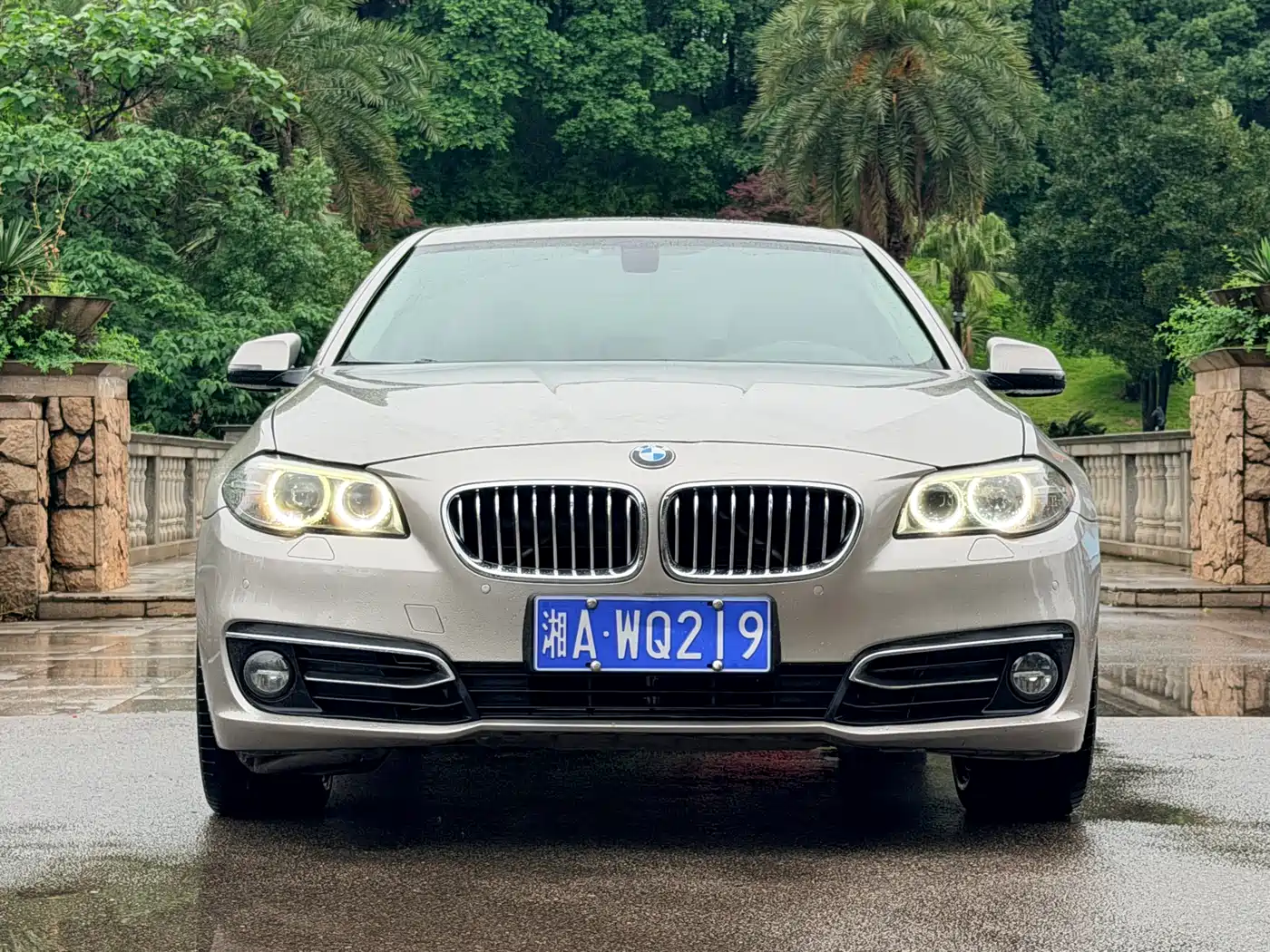 BMW 5 Series 2014 525Li Luxury Design Package фото 2