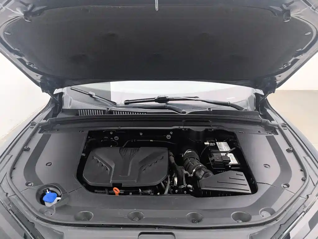 WEY Mocha 2021 2021 2.0T 2WD Extra Rich Edition