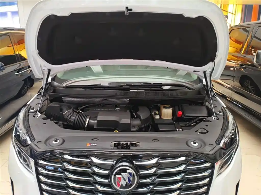 Buick GL8 2022 ES Landmark 653T Premium фото 20