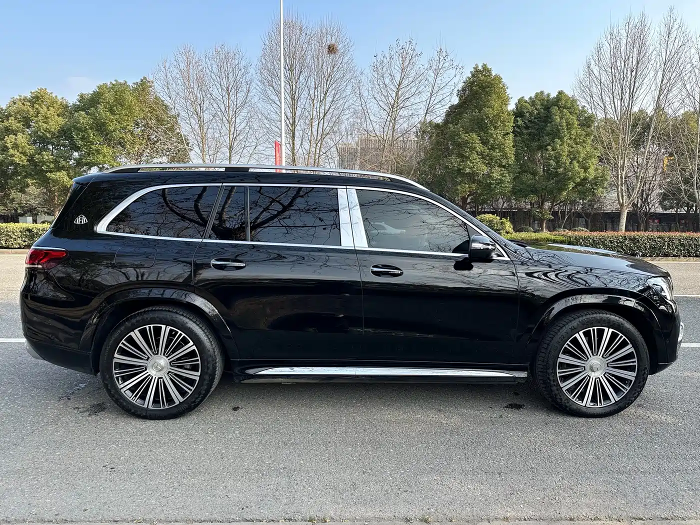 Mercedes-Benz Maybach GLS 2022 GLS 480 4MATIC фото 5
