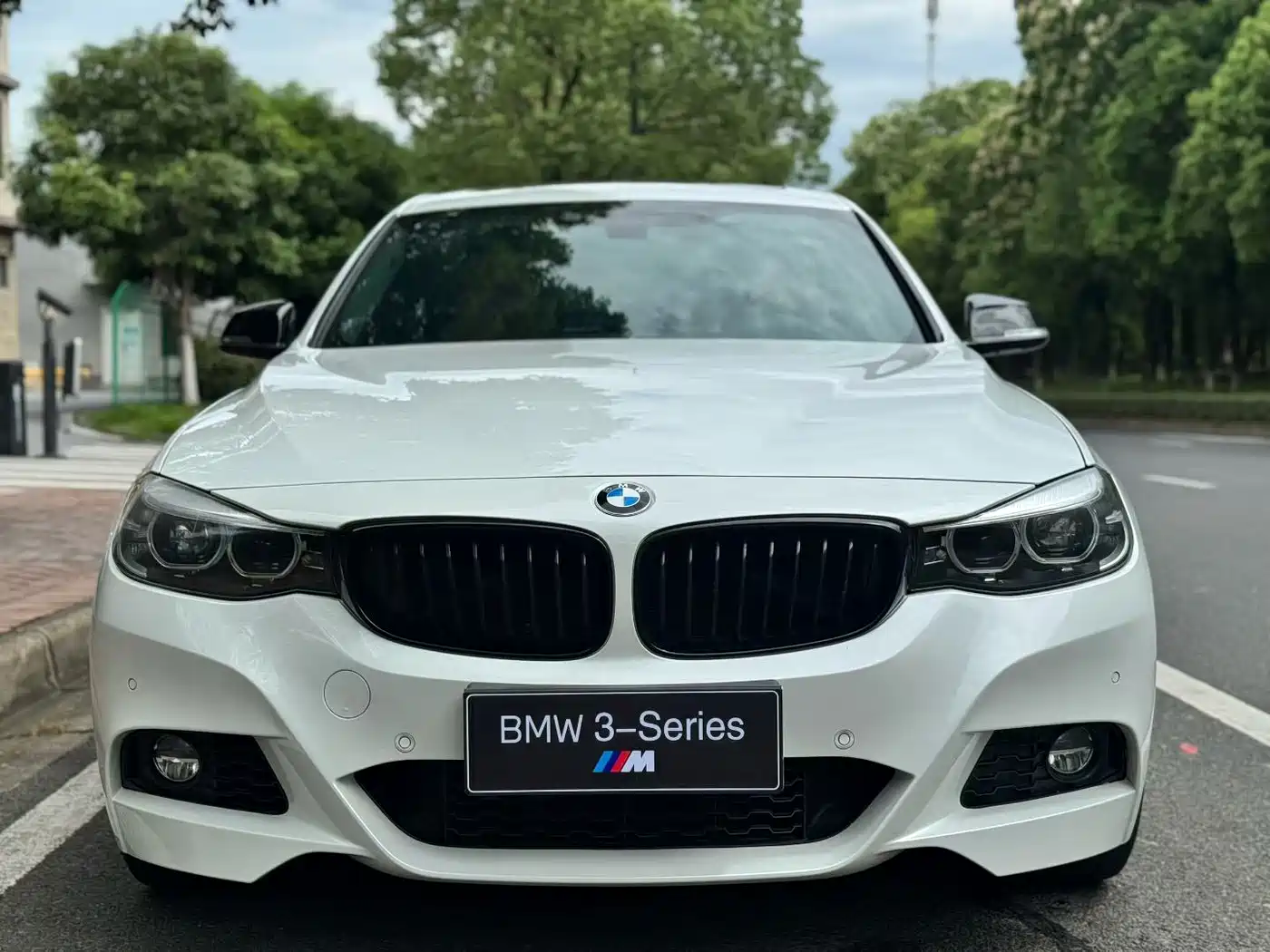 BMW 3 Series GT 2019 330i xDrive M Sport фото 2