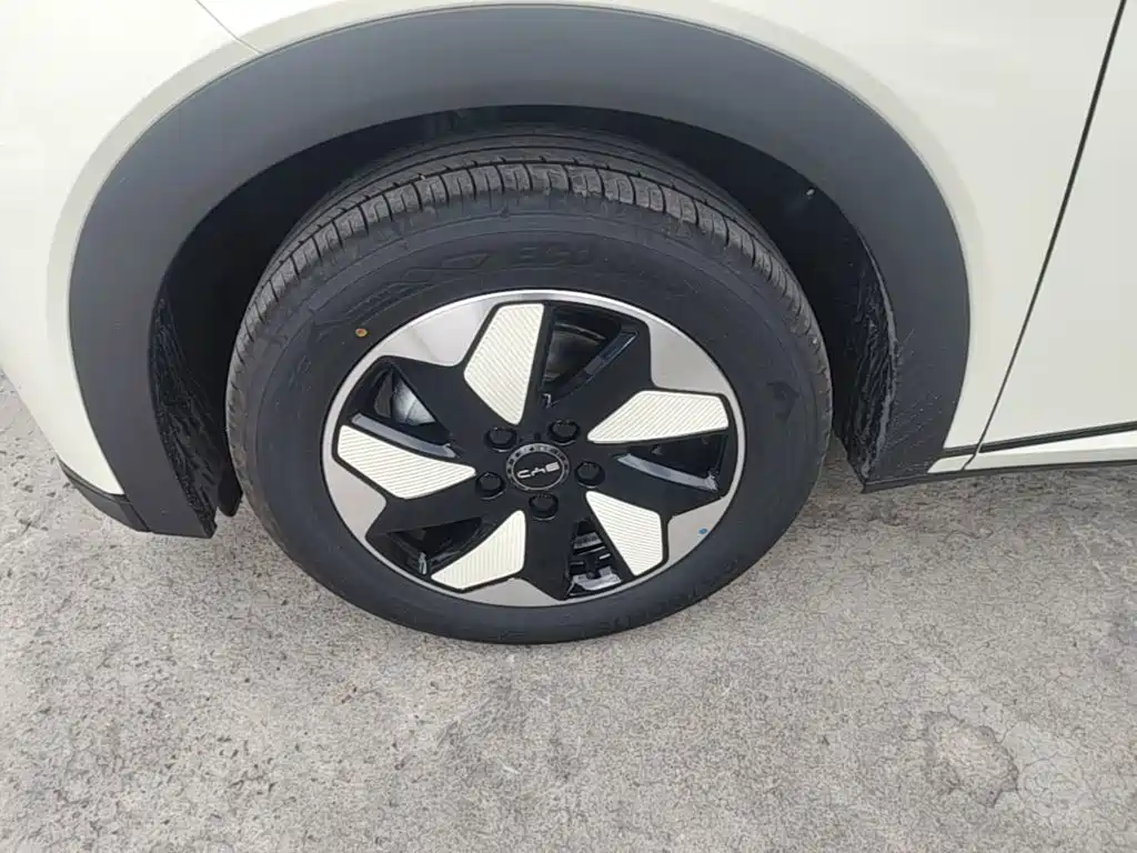 BYD Dolphin 2026 2025 420km Freedom Edition