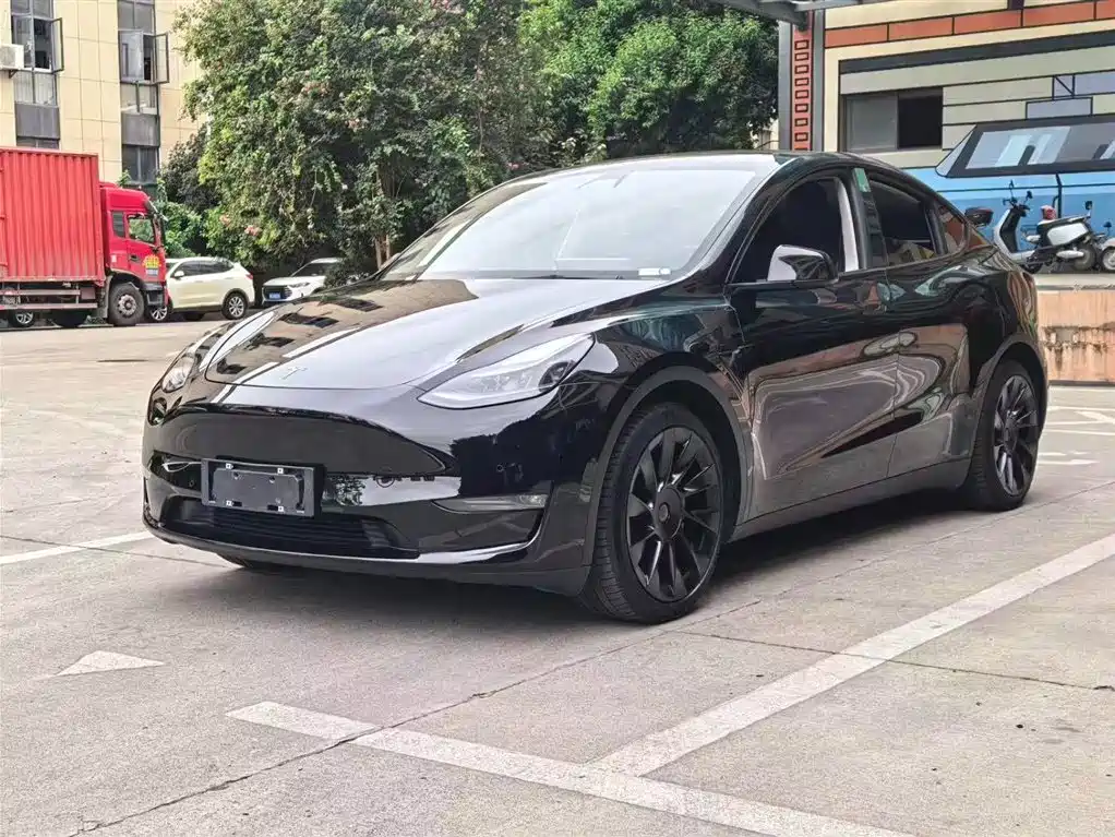 Tesla Model Y 2021 Standard Range Rear-Wheel Drive