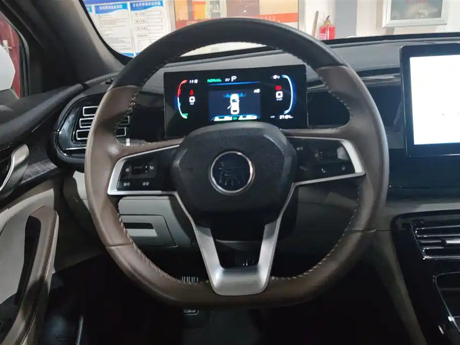 BYD Qin PLUS 2024 Glory Edition DM-i 55KM Leading фото 15