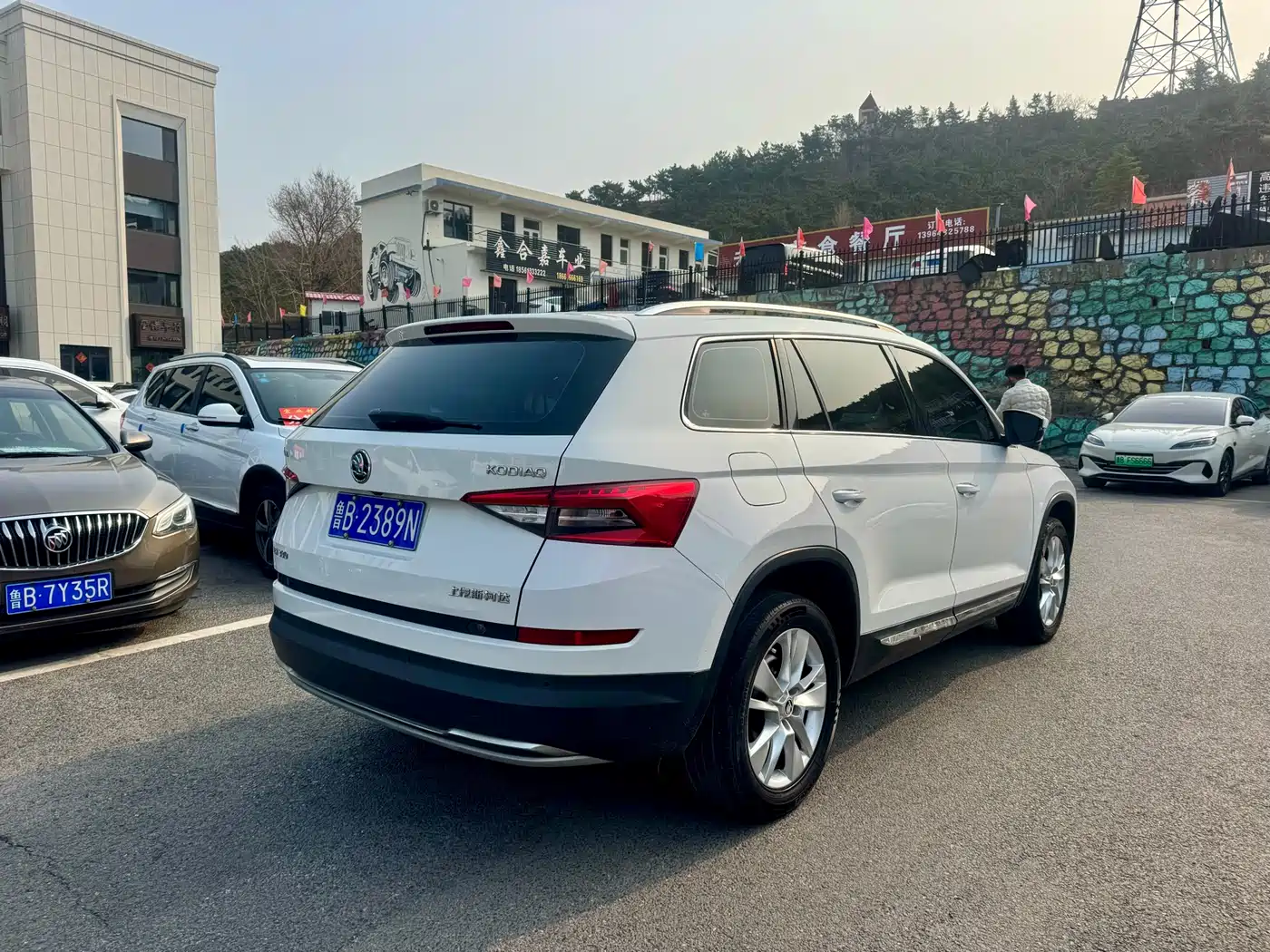 Škoda Kodiaq 2017 TSI330 7-seater 2WD Luxury Edition фото 9