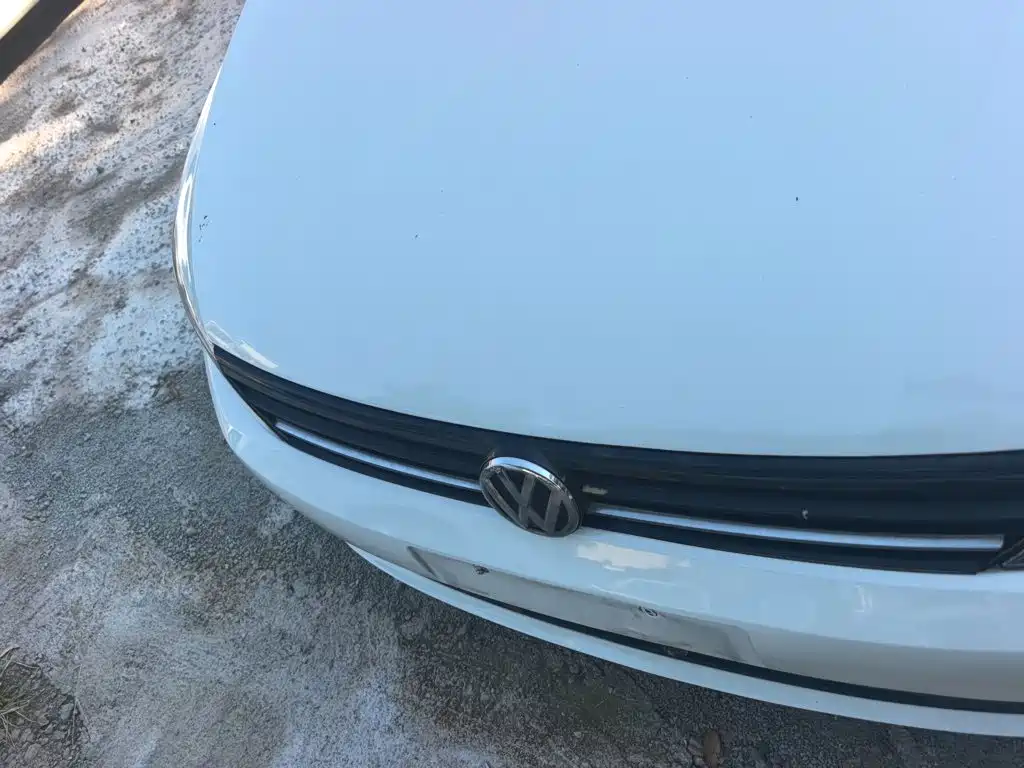 Volkswagen Lamando 2015 2015 230TSI DSG Style