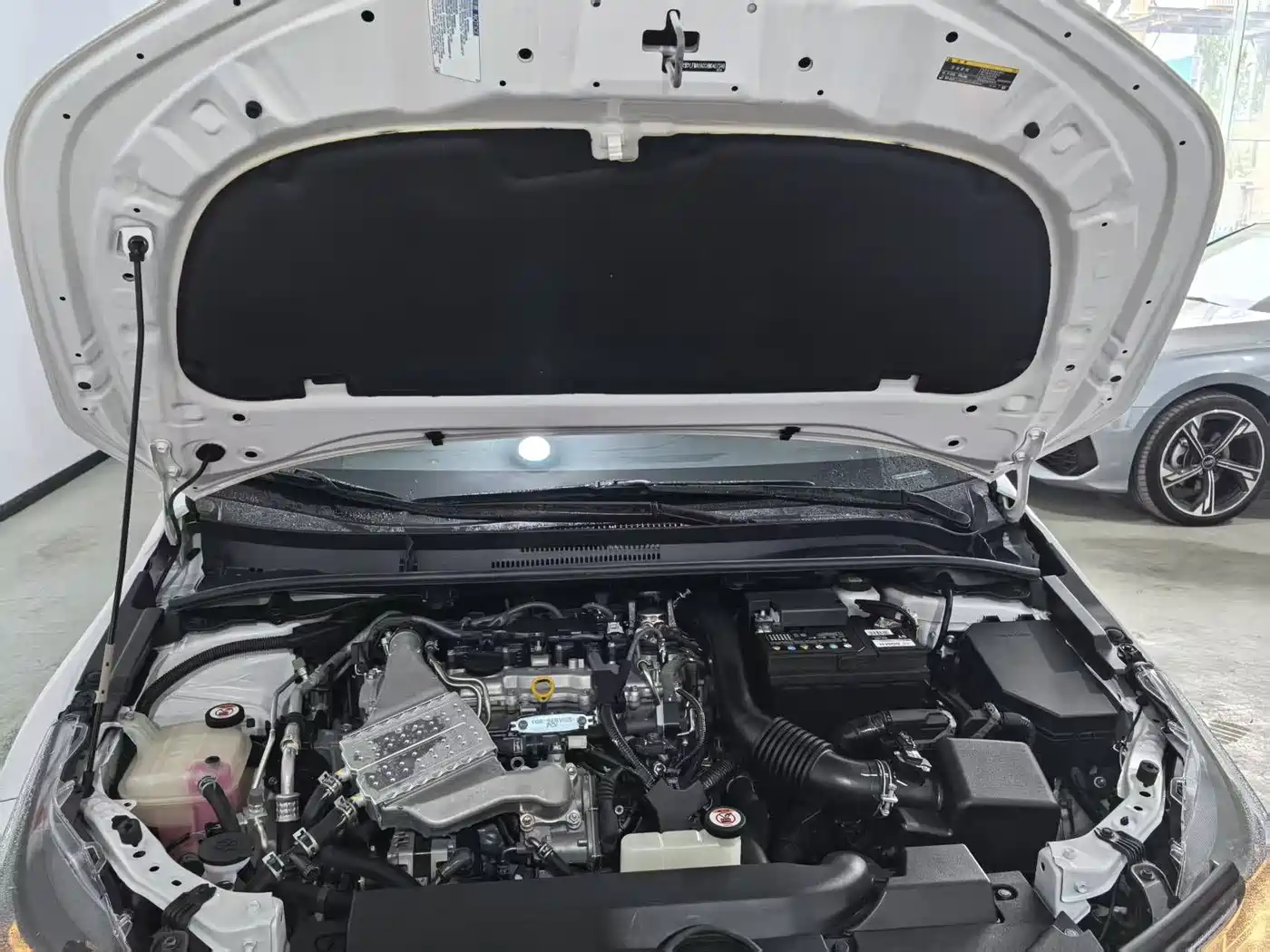 Toyota Corolla 2021 1.2T S-CVT Elite PLUS Edition фото 8