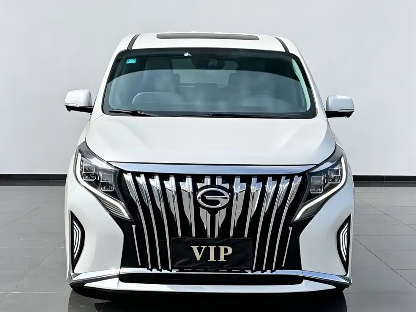 GAC Trumpchi Trumpchi M8 2023 Leading Series 390T Luxury Edition фото 2
