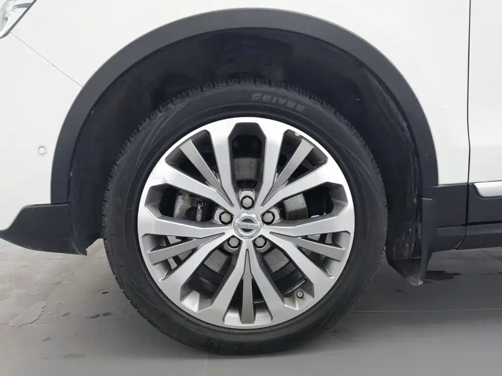 Haval H7 2020 2019 2.0T Premium (China VI)