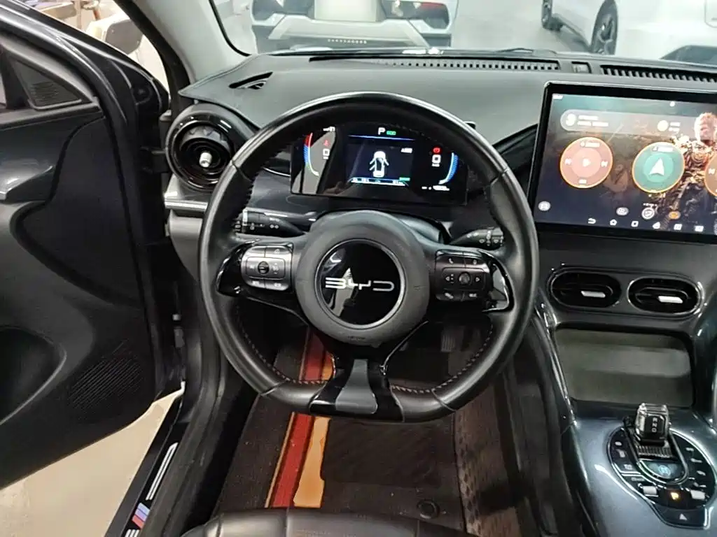 BYD e2 2024 2023 Luxury Model