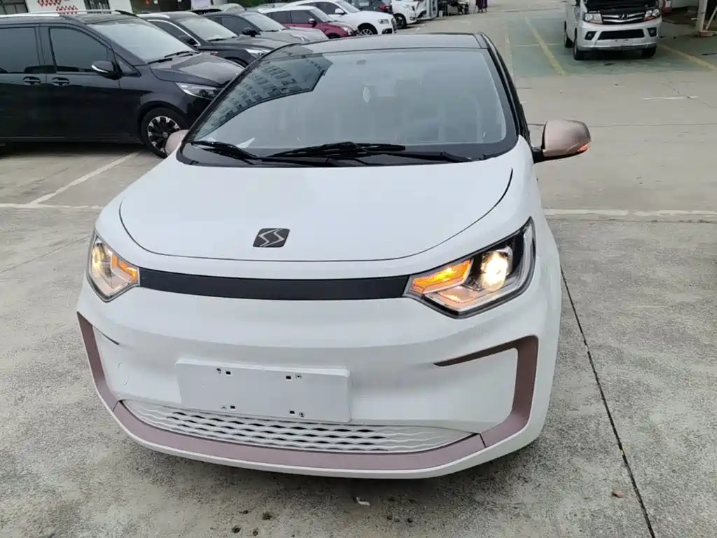 Sehol Flower Fairy 2021 2021 Jimei Edition 302km Luxury