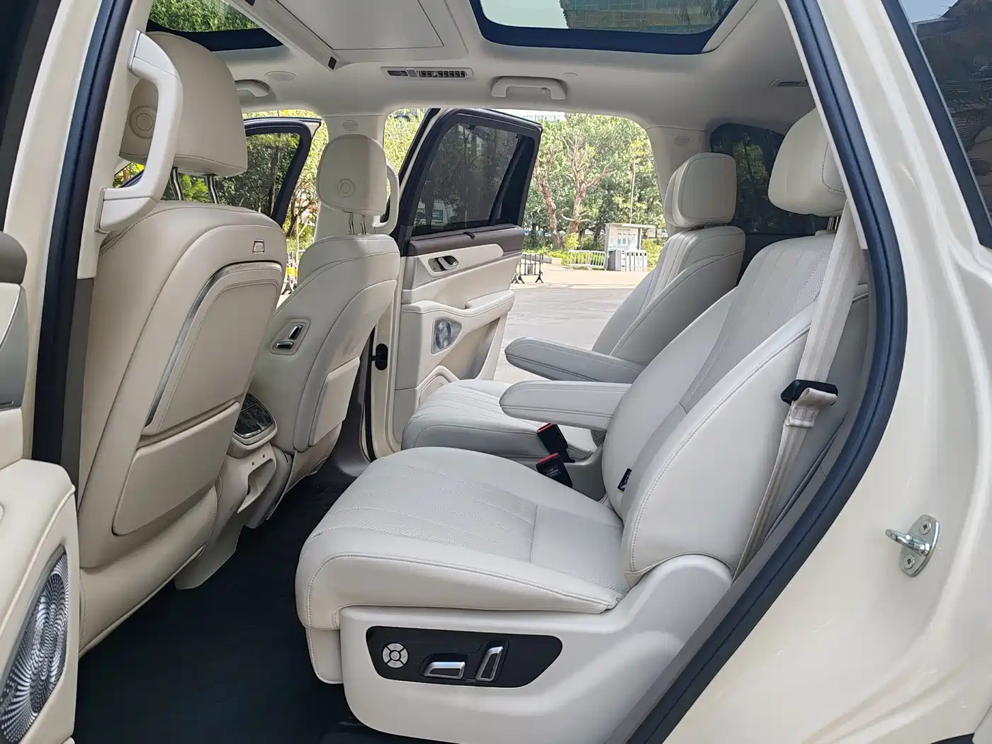 WEI PAI WEI BRAND BLUE MOUNTAIN