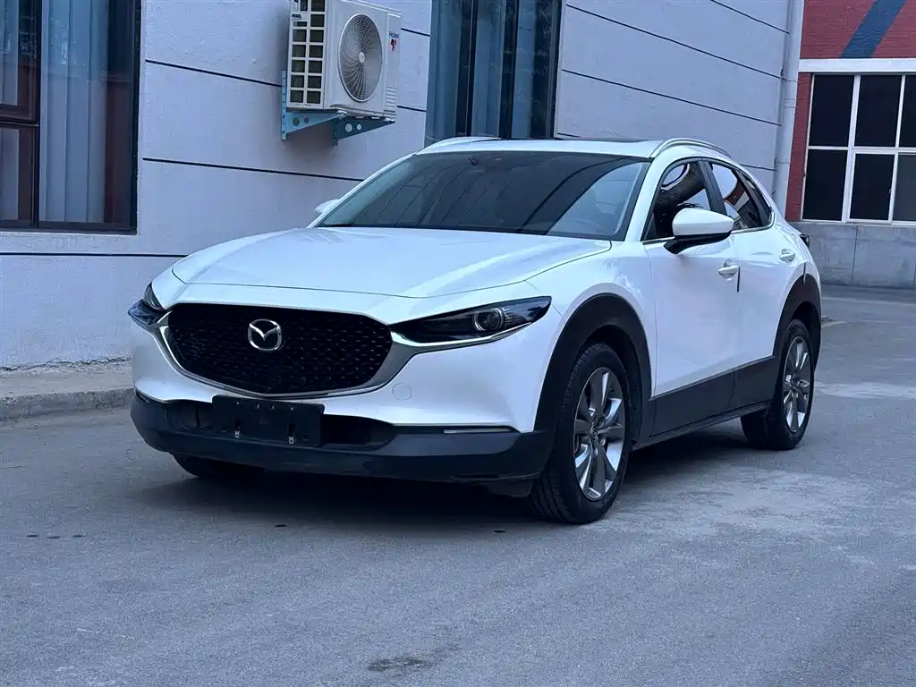  CX 30