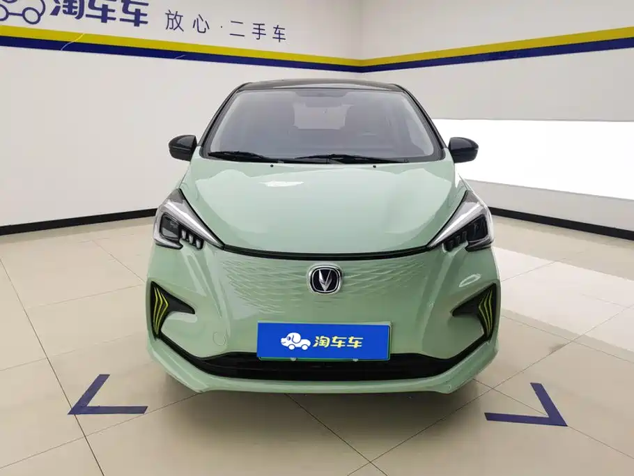 Фото 2 - Changan Benben E-Star