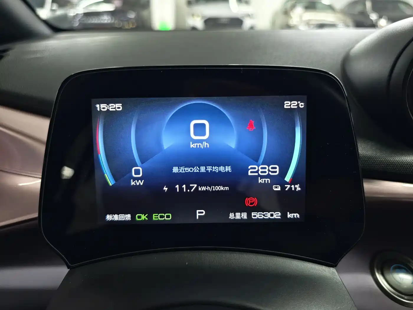 BYD Dolphin 2021 Model 405km Fashion Edition фото 16