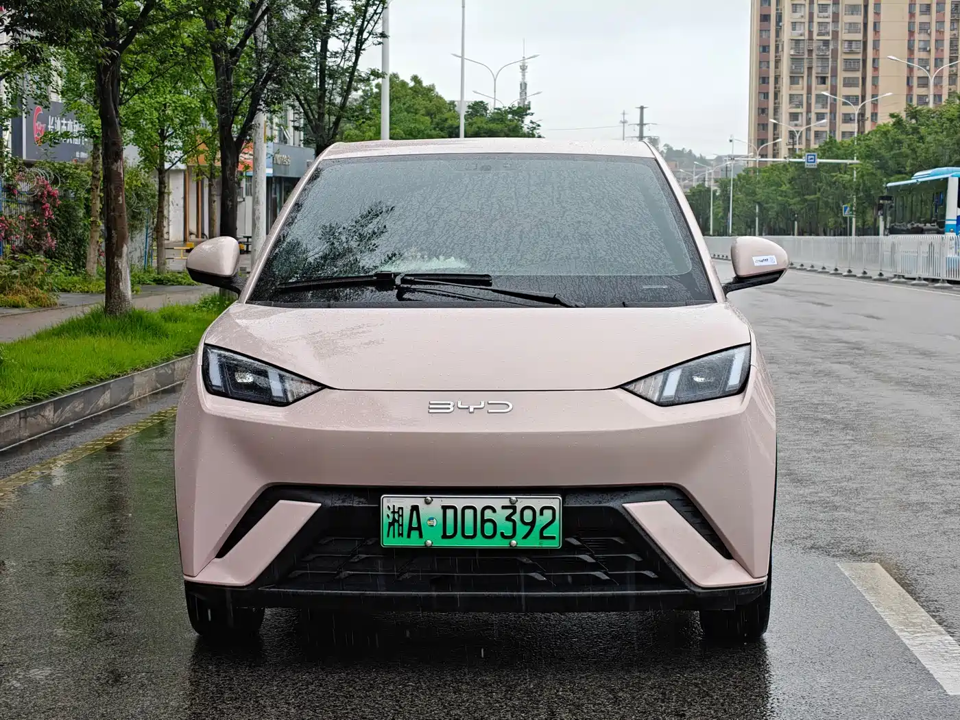 BYD Seagull 2023 Flying Edition фото 2