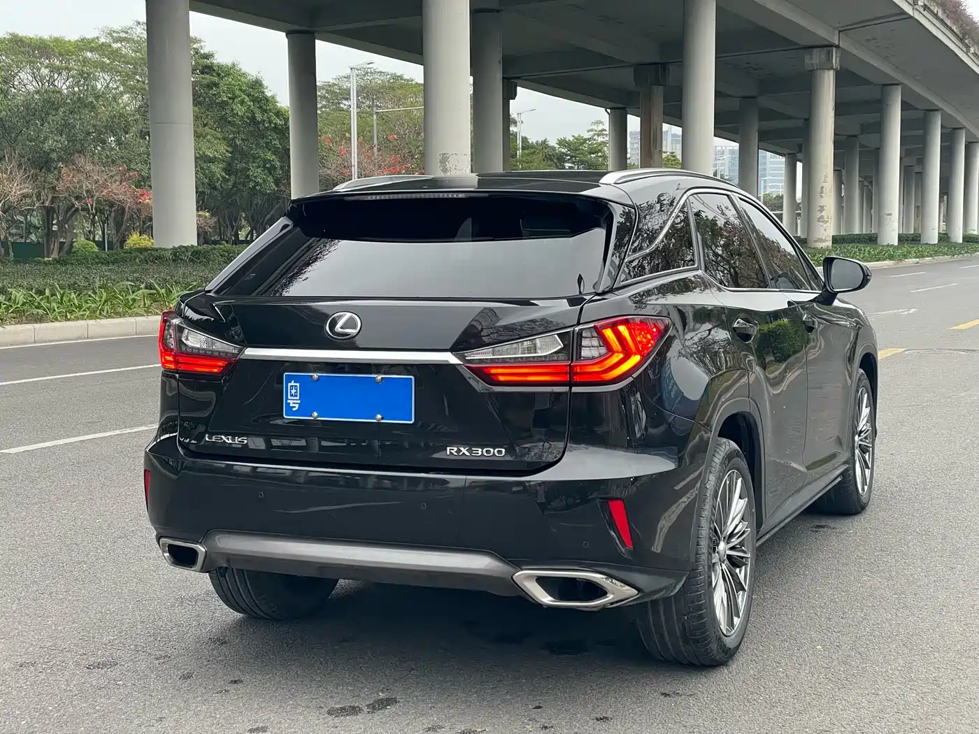 Lexus RX 2016 300 4WD Elegance Edition (China V) фото 3
