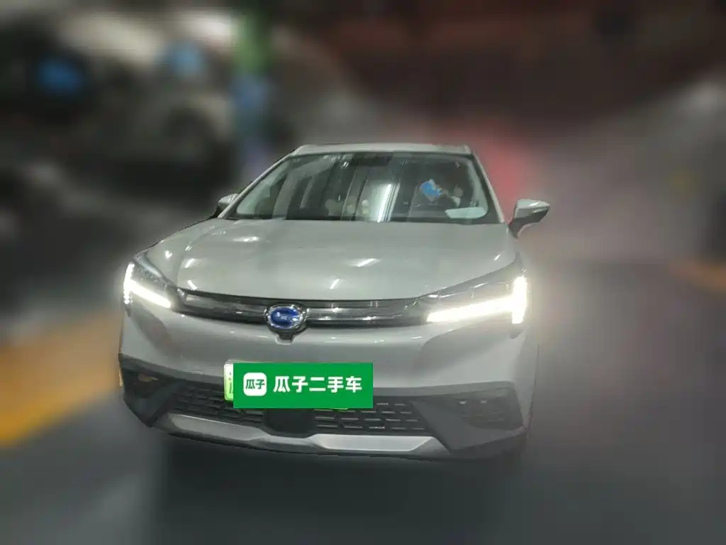 Фото 2 - Aion LX