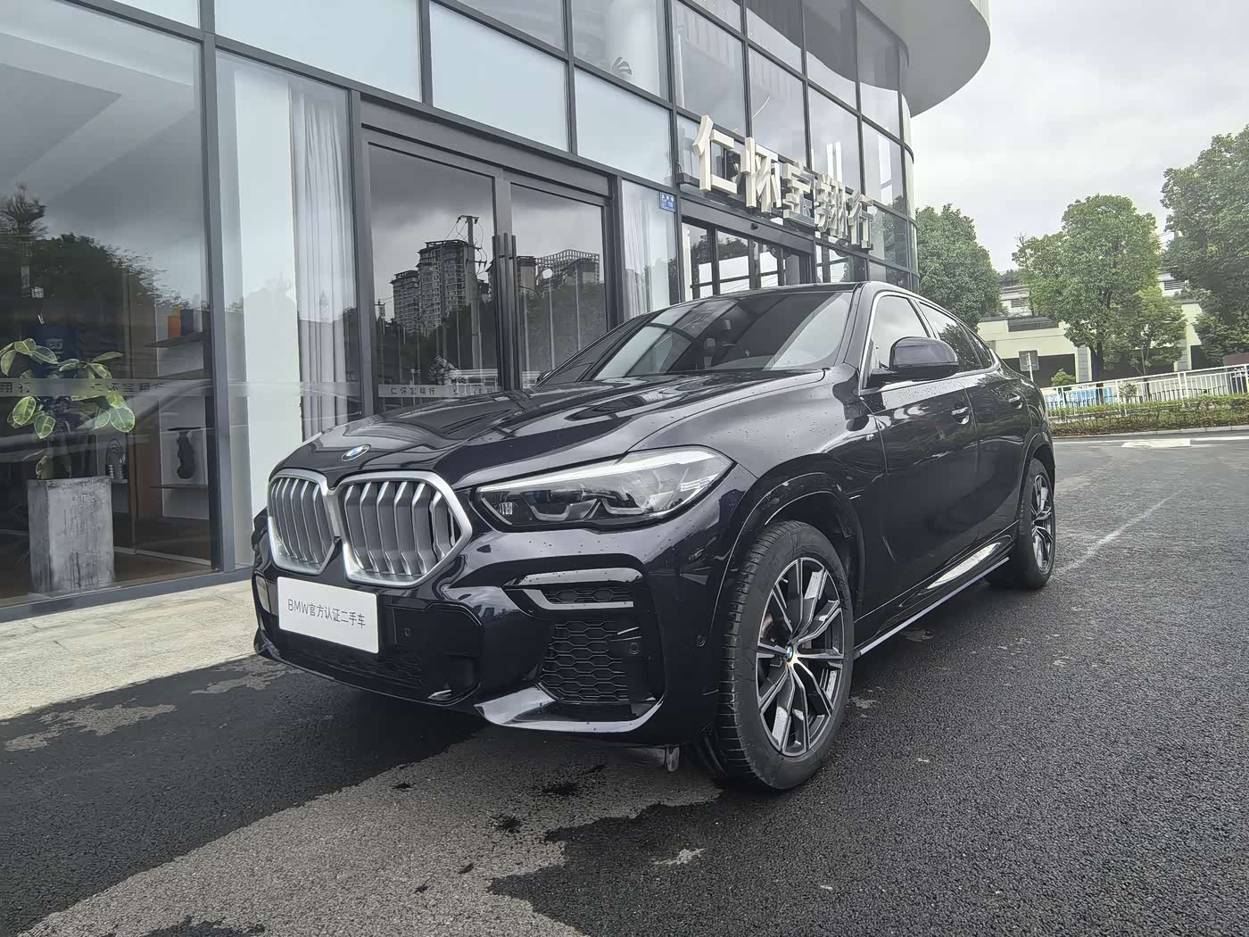 BMW X6