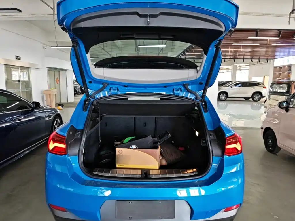 BMW X2 (Import) 2019 2019 sDrive20i M Off-Road Package China VI