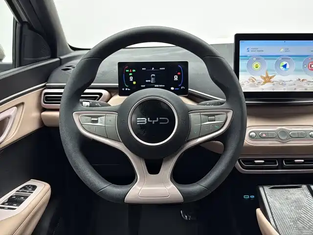 BYD Seagull 2026 2025 305km Vitality
