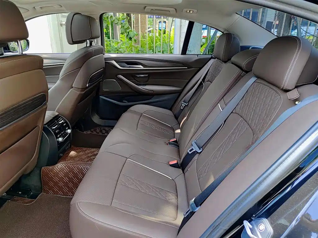 BMW 5 Series 2023 530Li Premium Luxury Package фото 8