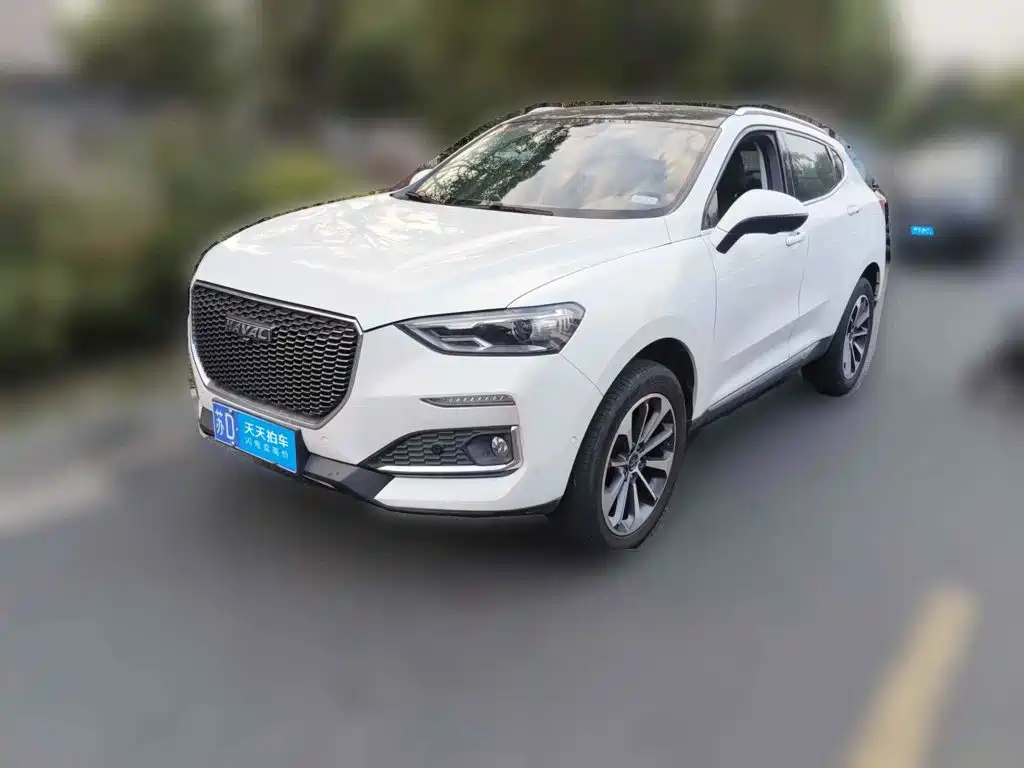 2019 Haval F5