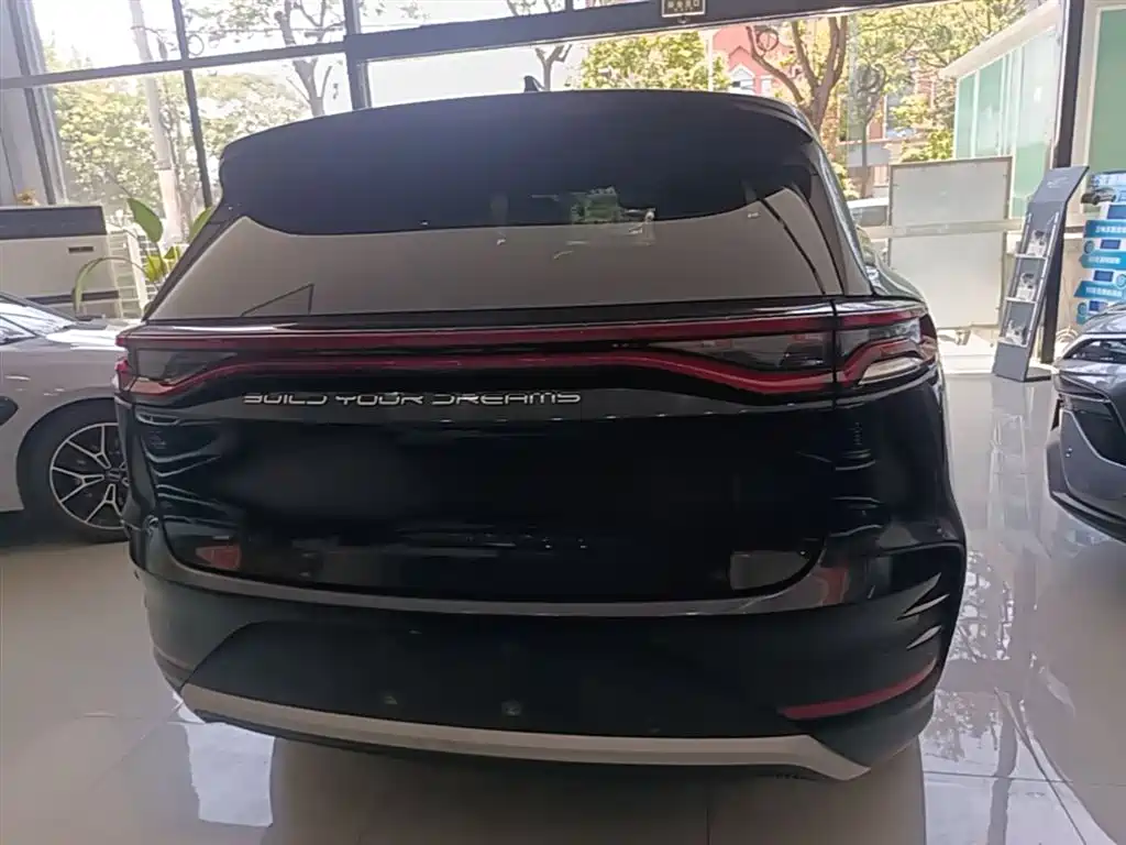 BYD Tang New Energy 2022 DM-p 215KM AWD Flagship фото 6