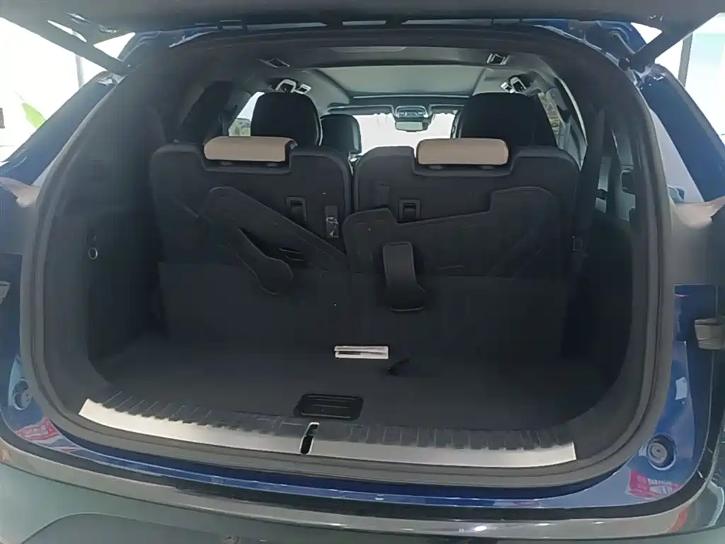 BYD Tang New Energy 2022 DM-p 215KM AWD Flagship фото 19