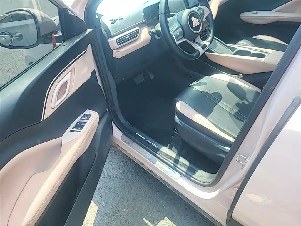 BYD Seagull 2023 Freedom Edition фото 15