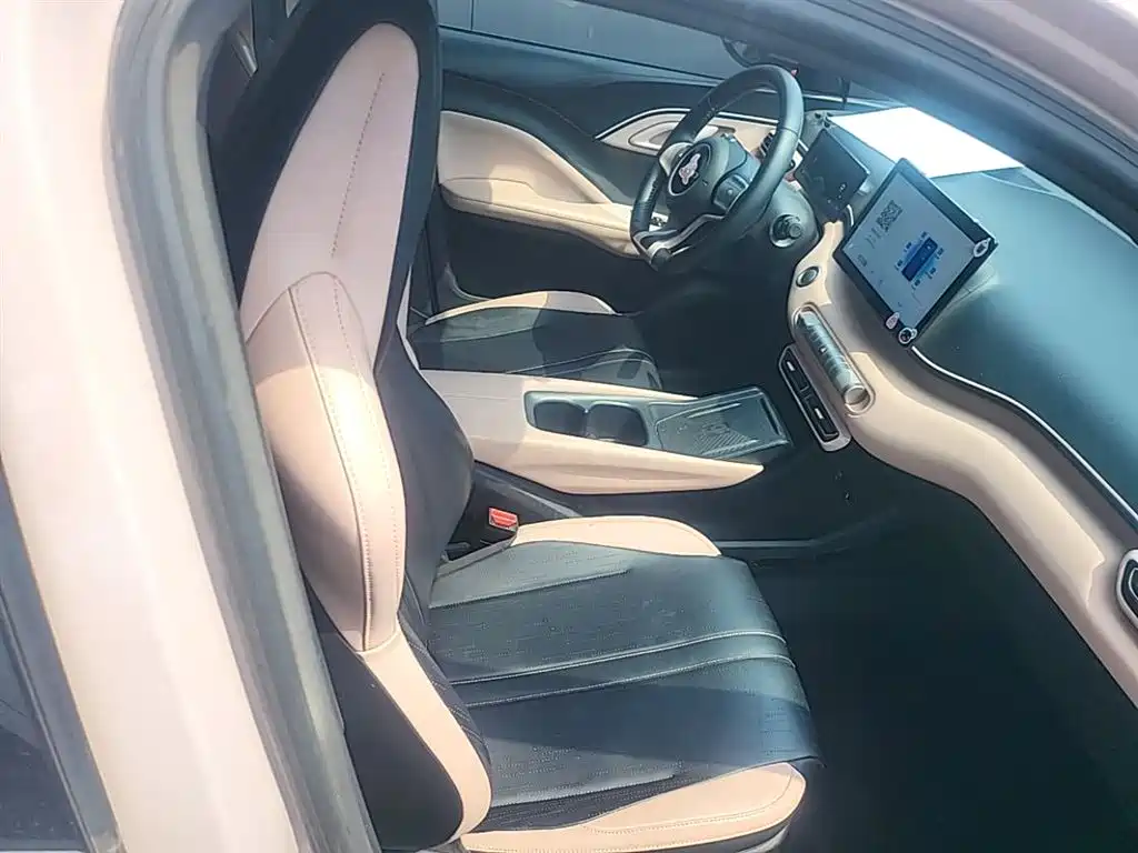 BYD Seagull 2023 Freedom Edition фото 25