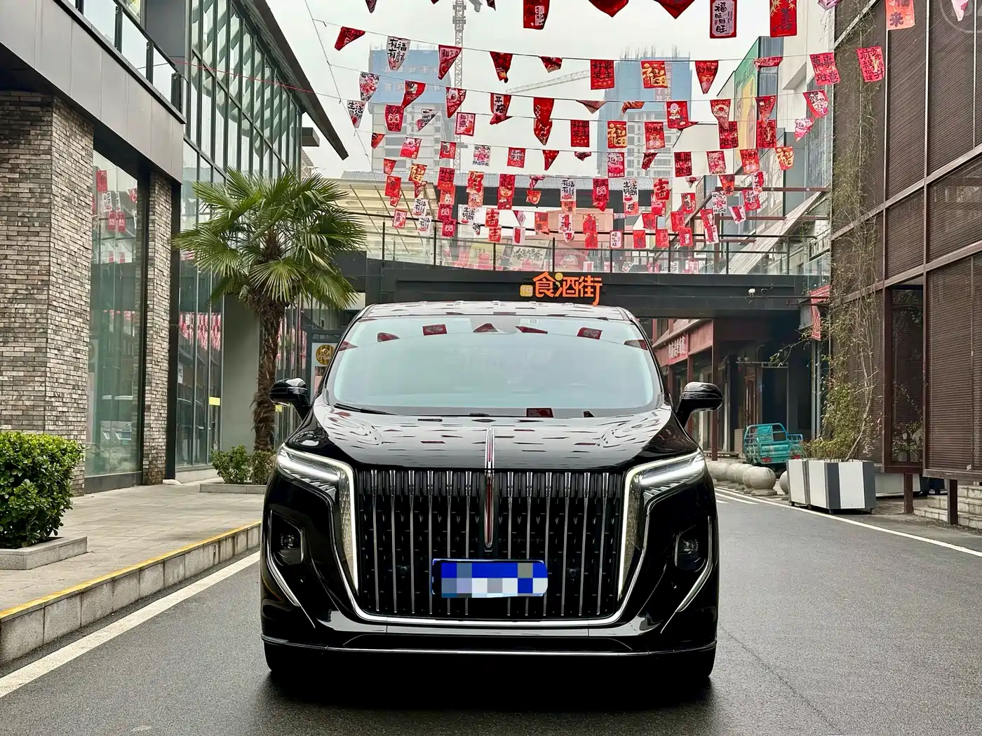 Hongqi HONGQI HQ9
