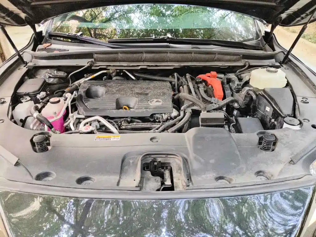 Lexus RX New Energy 2023 2023 450h+ 4WD Enjoyment