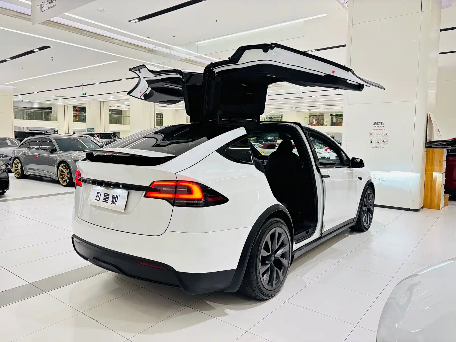 Фото 5 - Tesla Model X