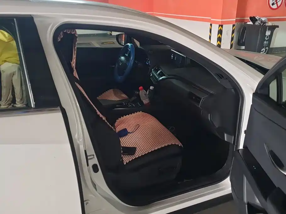 Lexus UX 2021 2020 260h Explore Cool Edition