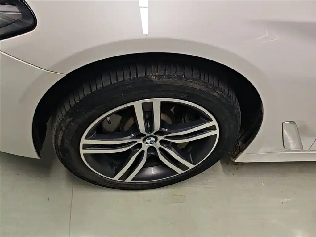 BMW 5 Series 2022 Model Second Facelift 530Li Leading M Sport Package фото 25