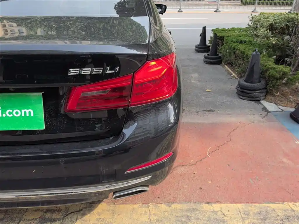 BMW 5 Series 2020 525Li Luxury Package фото 8