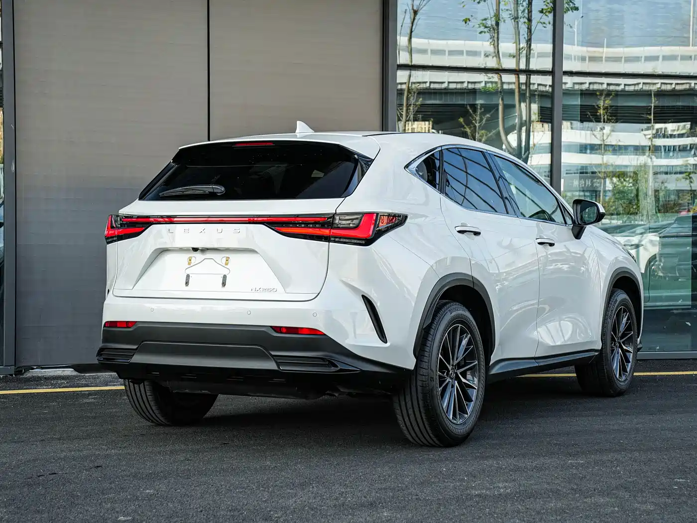 LEXUS NX