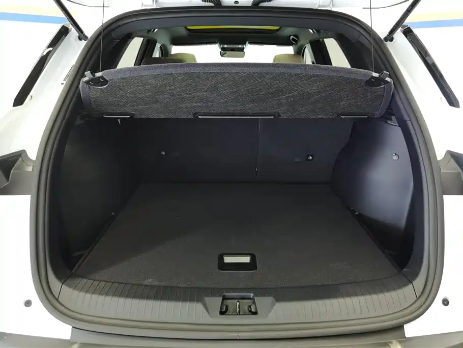 BYD Song Pro New Energy 2024 Glory Edition DM-i 110KM Surpassing фото 4