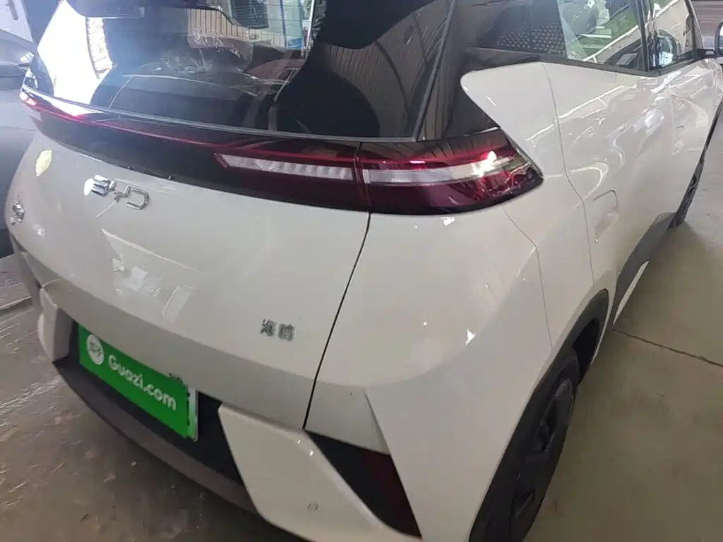 BYD Seagull 2026 2025 Smart Drive Edition 305km Vitality Version