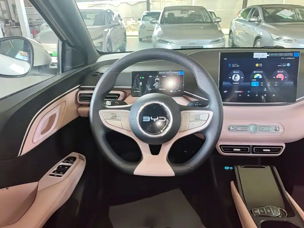 BYD Seagull 2026 2025 Smart Drive Edition 305km Vitality Version