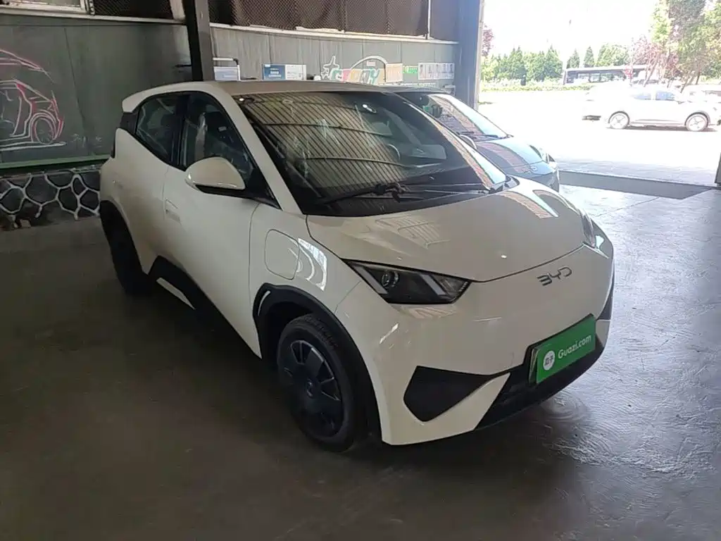 2026 BYD Seagull