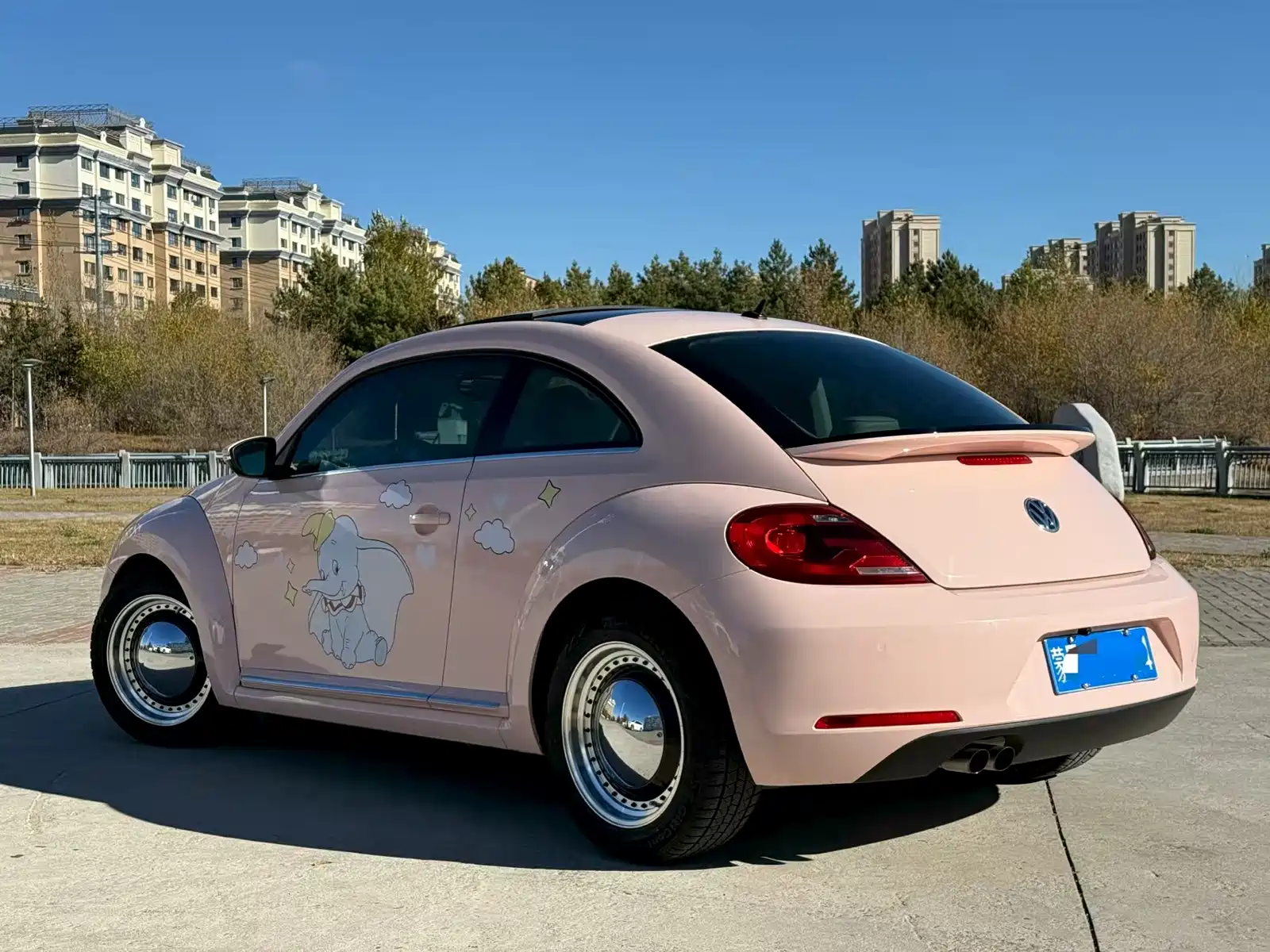 Photo 6 - Volkswagen Beetle