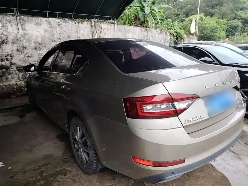 Škoda Octavia 2019 TSI230 DSG Zhixing Comfort Edition China VI фото 5