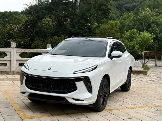 Dongfeng Fengxing Fengxing T5 EVO 2021 1.5TD DCT Platinum Edition