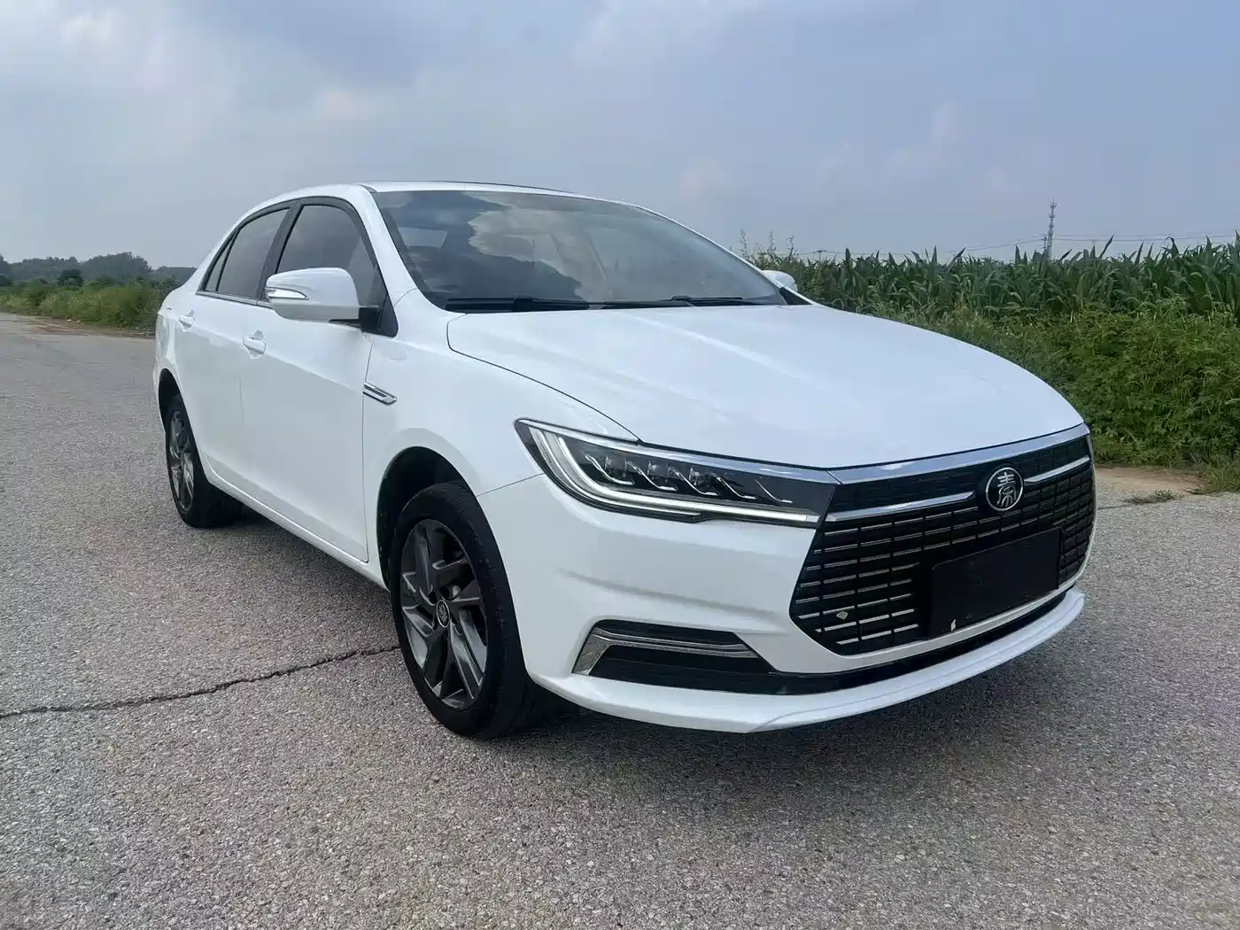 BYD Qin New Energy 2020 2019 Long Range Luxury Edition
